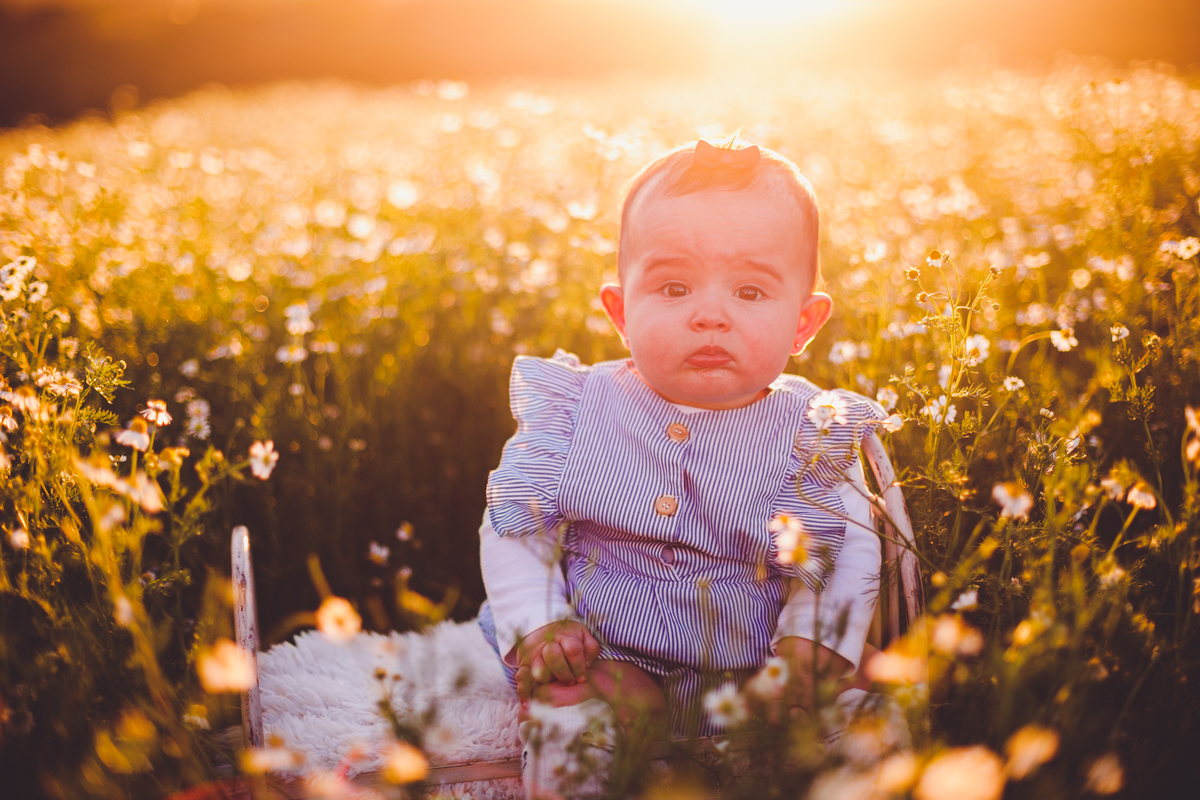 fotografa familia curitiba - ensaio externo camomila bebe menina 