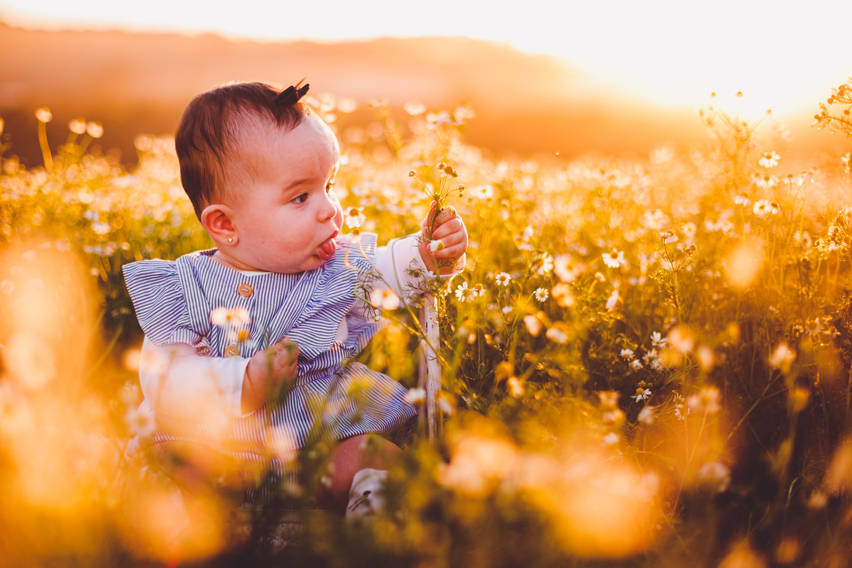 fotografa familia curitiba - ensaio externo camomila bebe menina 