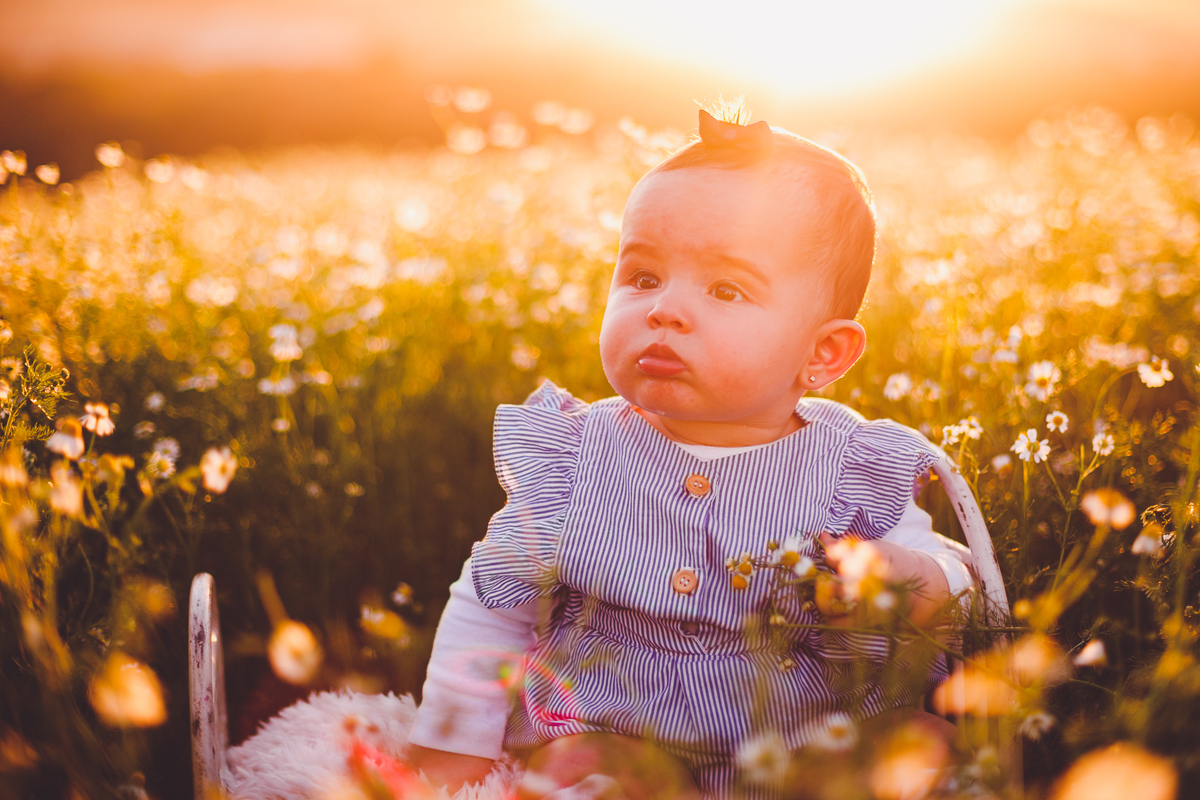 fotografa familia curitiba - ensaio externo camomila bebe menina 