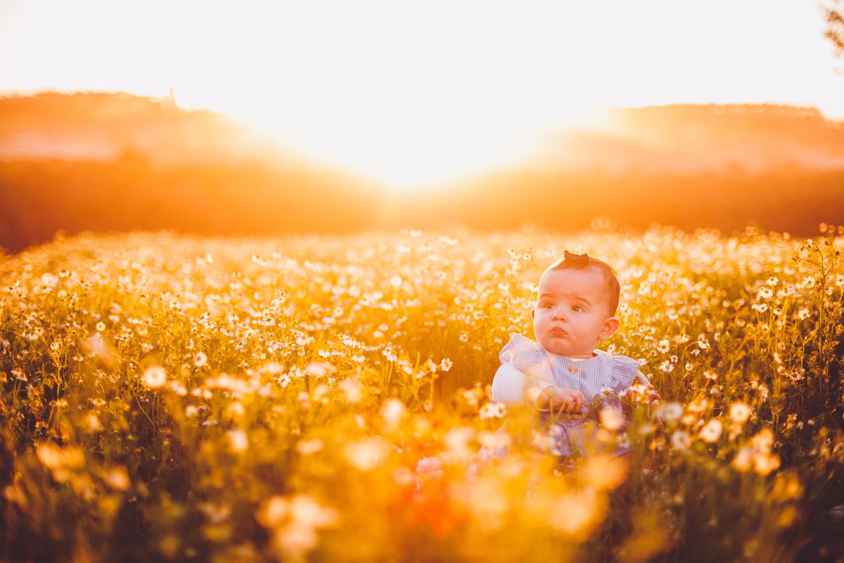 fotografa familia curitiba - ensaio externo camomila bebe menina 