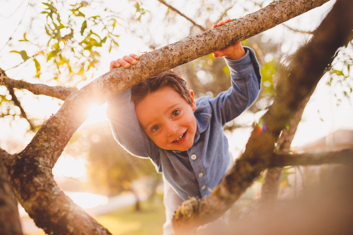 fotografa familia curitiba - ensaio gestante externo andre