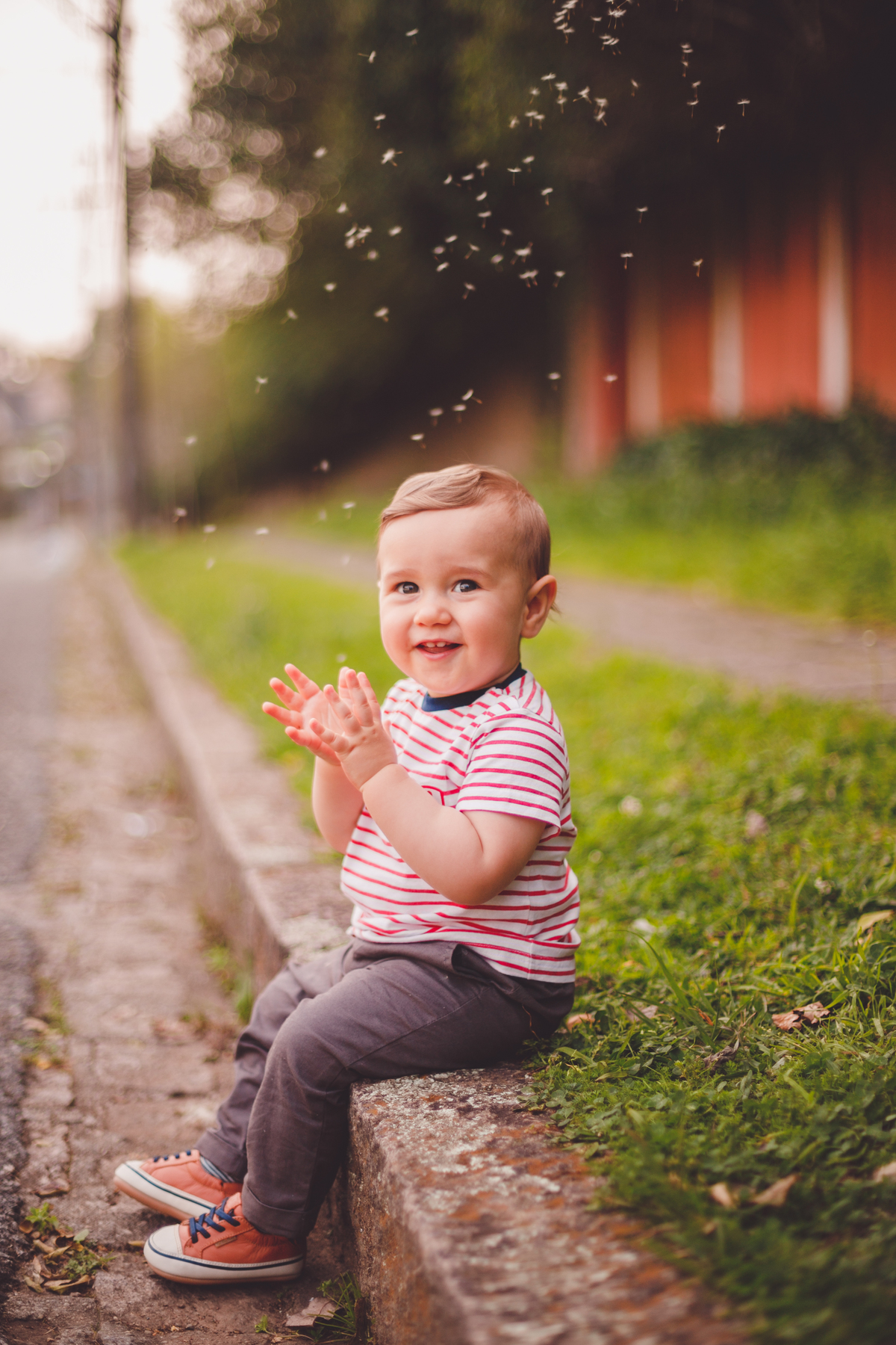 fotografa familia curitiba - Antonio bosque do alemão