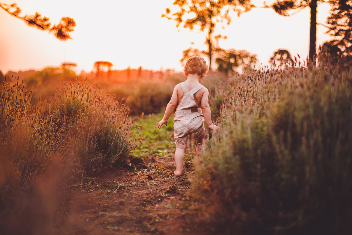 fotografa familia Curitiba - enrico externo lavanda 