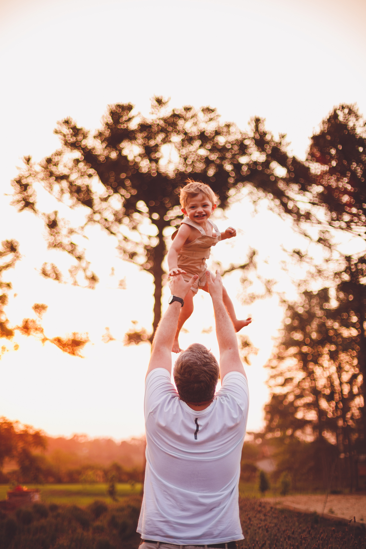 fotografa familia Curitiba - enrico externo lavanda 