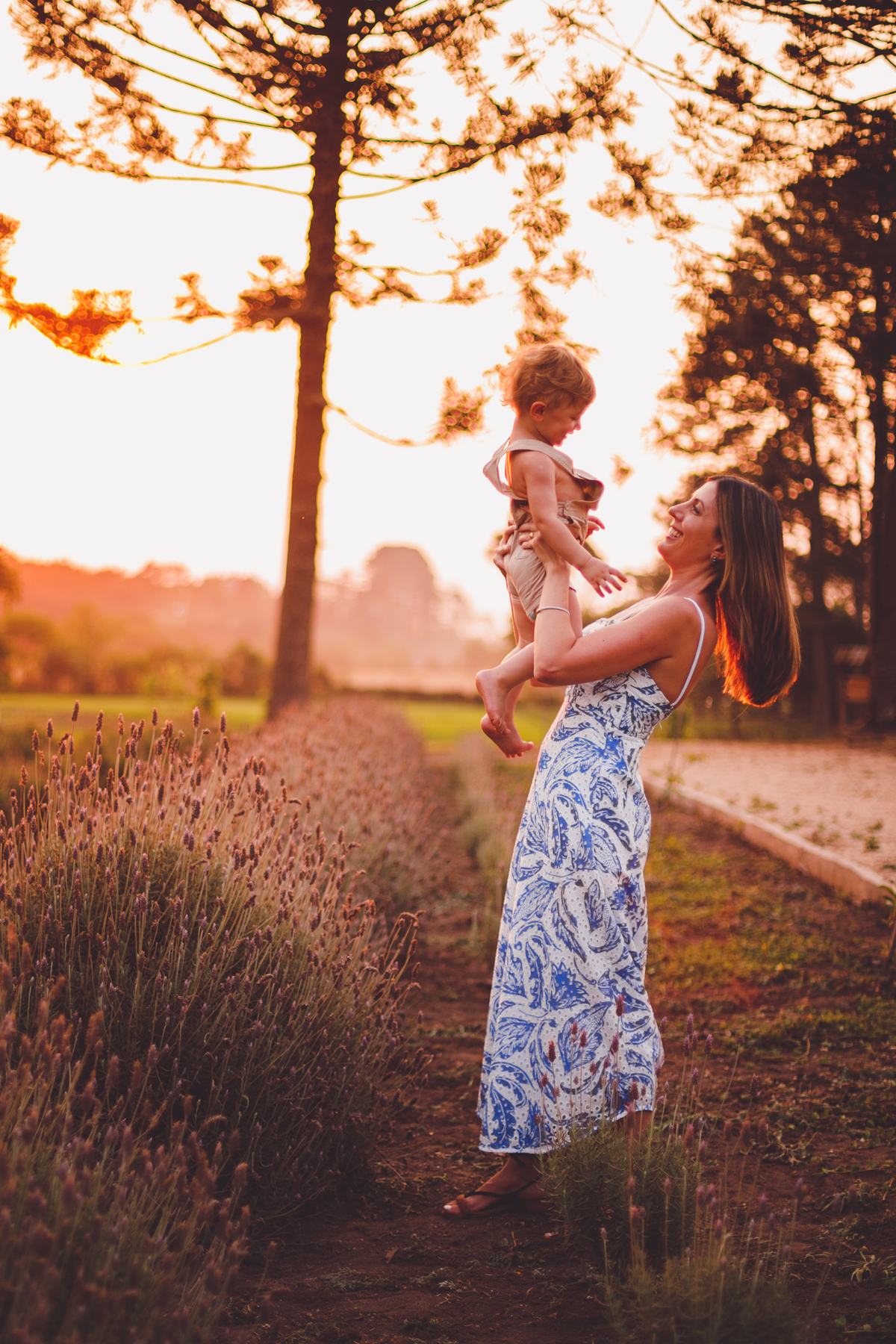 fotografa familia Curitiba - enrico externo lavanda 