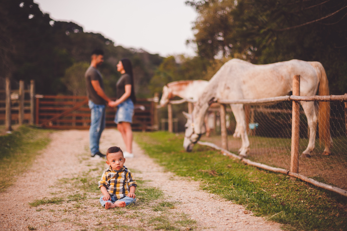 fotografa familia curitiba - bernardo comes animais 