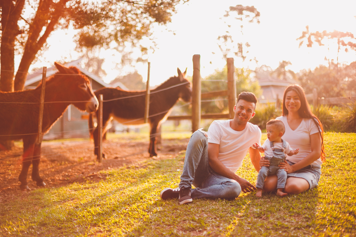 fotografa familia curitiba - bernardo comes animais 