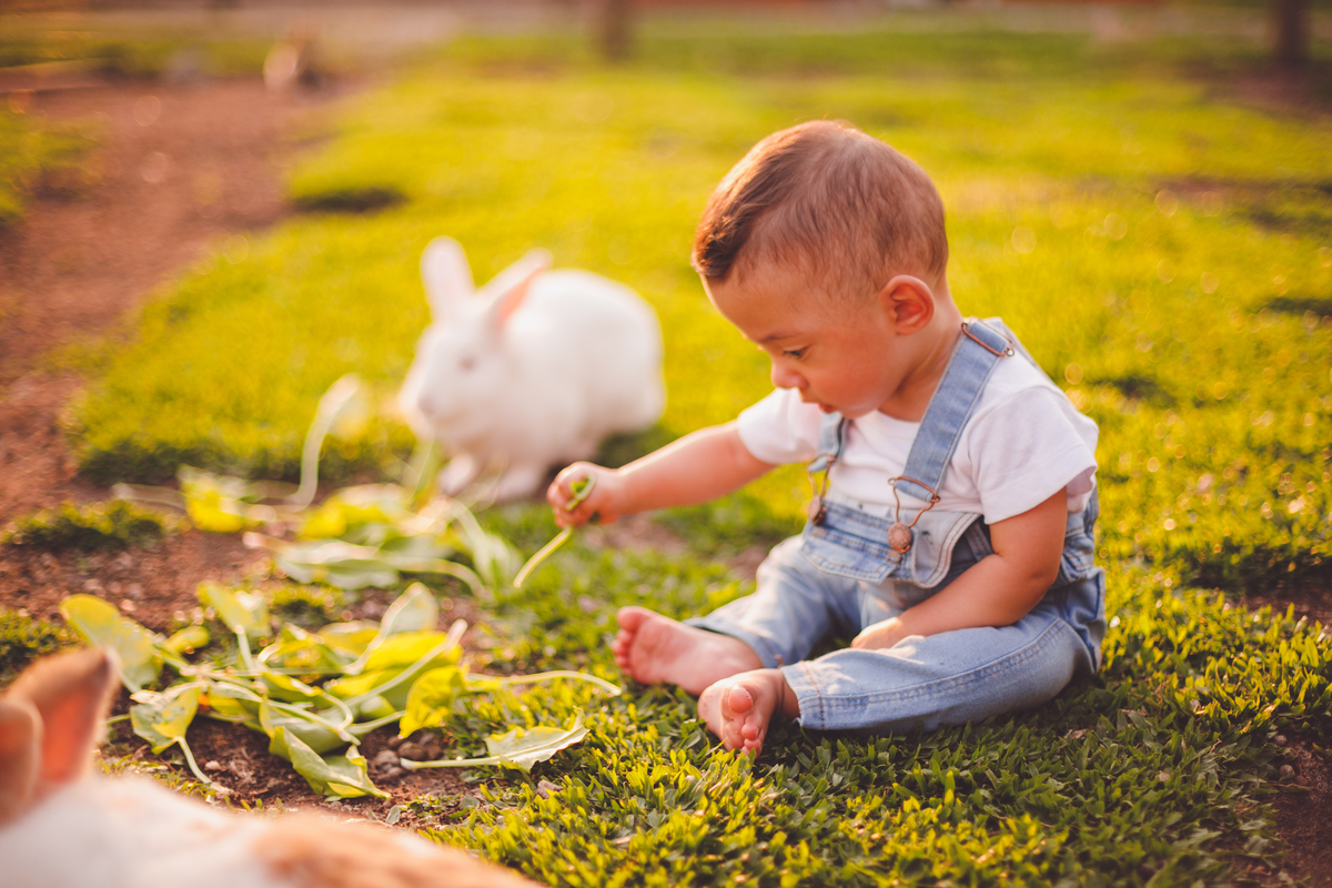 fotografa familia curitiba - bernardo comes animais 