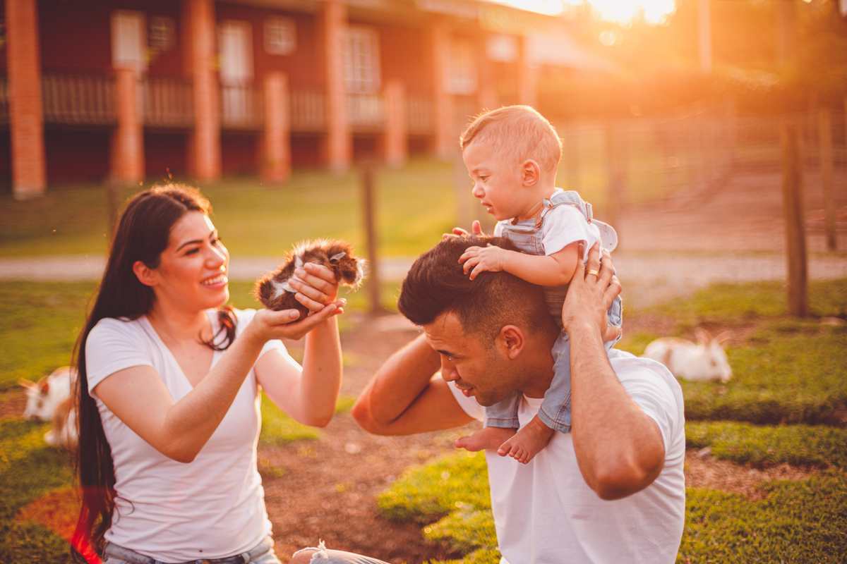 fotografa familia curitiba - bernardo comes animais 