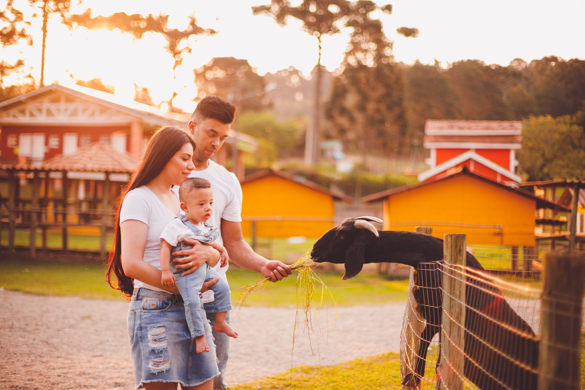 fotografa familia curitiba - bernardo comes animais 