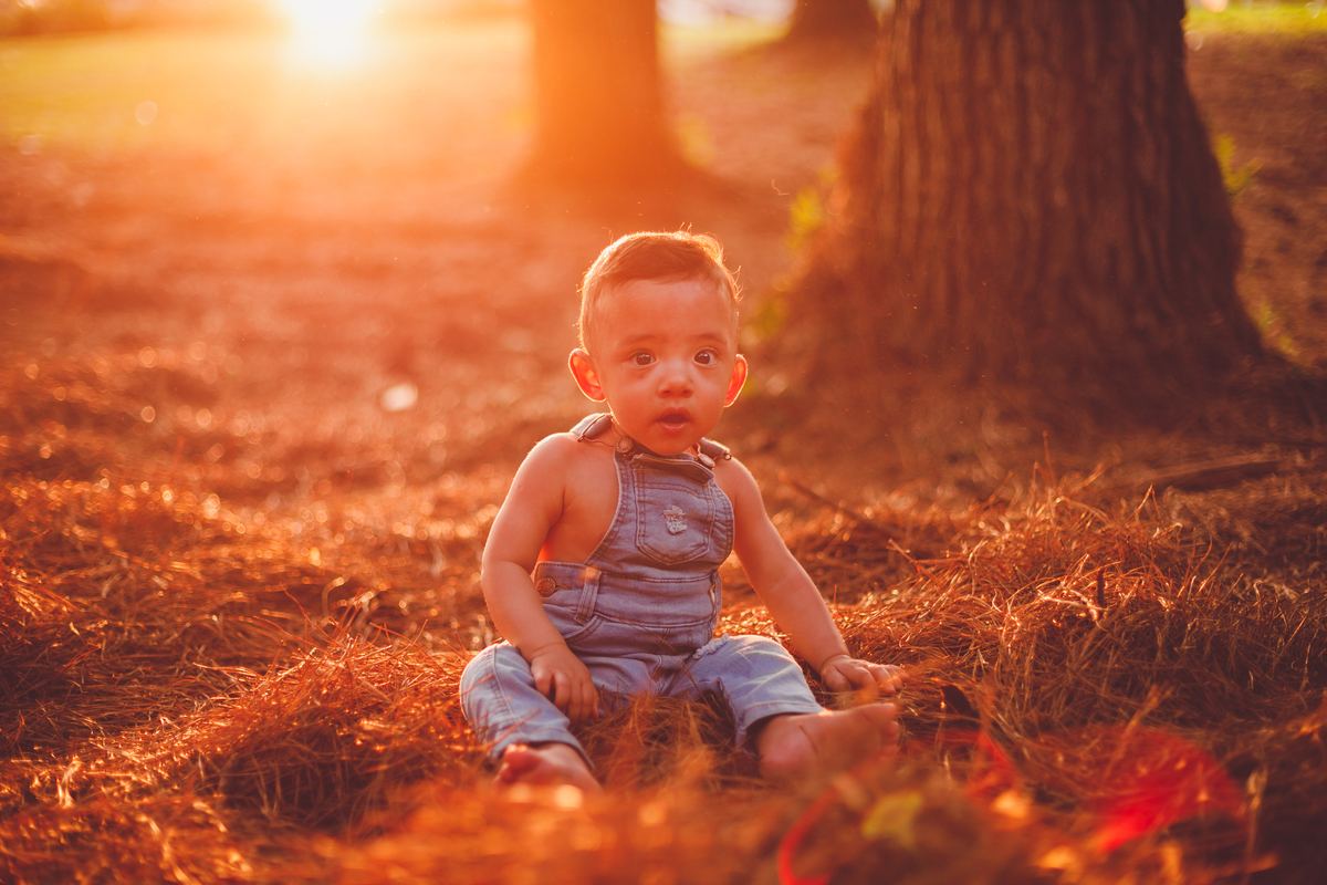 fotografa familia curitiba - bernardo comes animais 