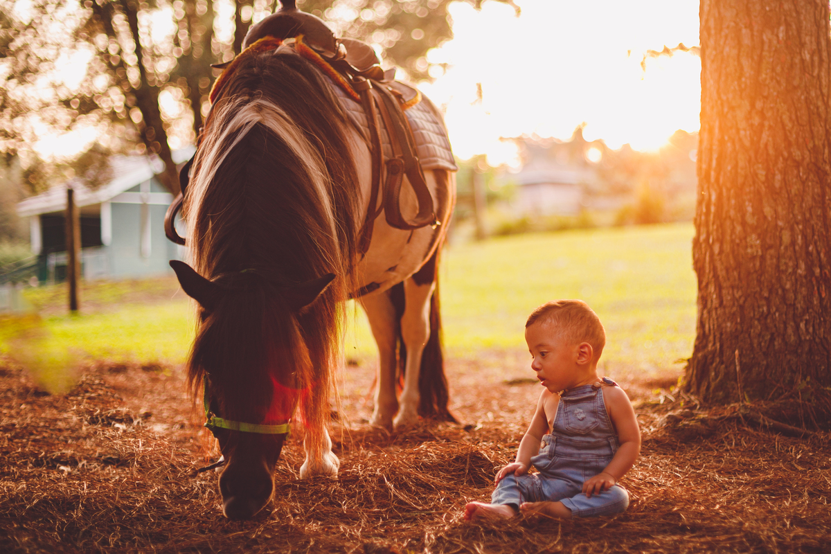 fotografa familia curitiba - bernardo comes animais 