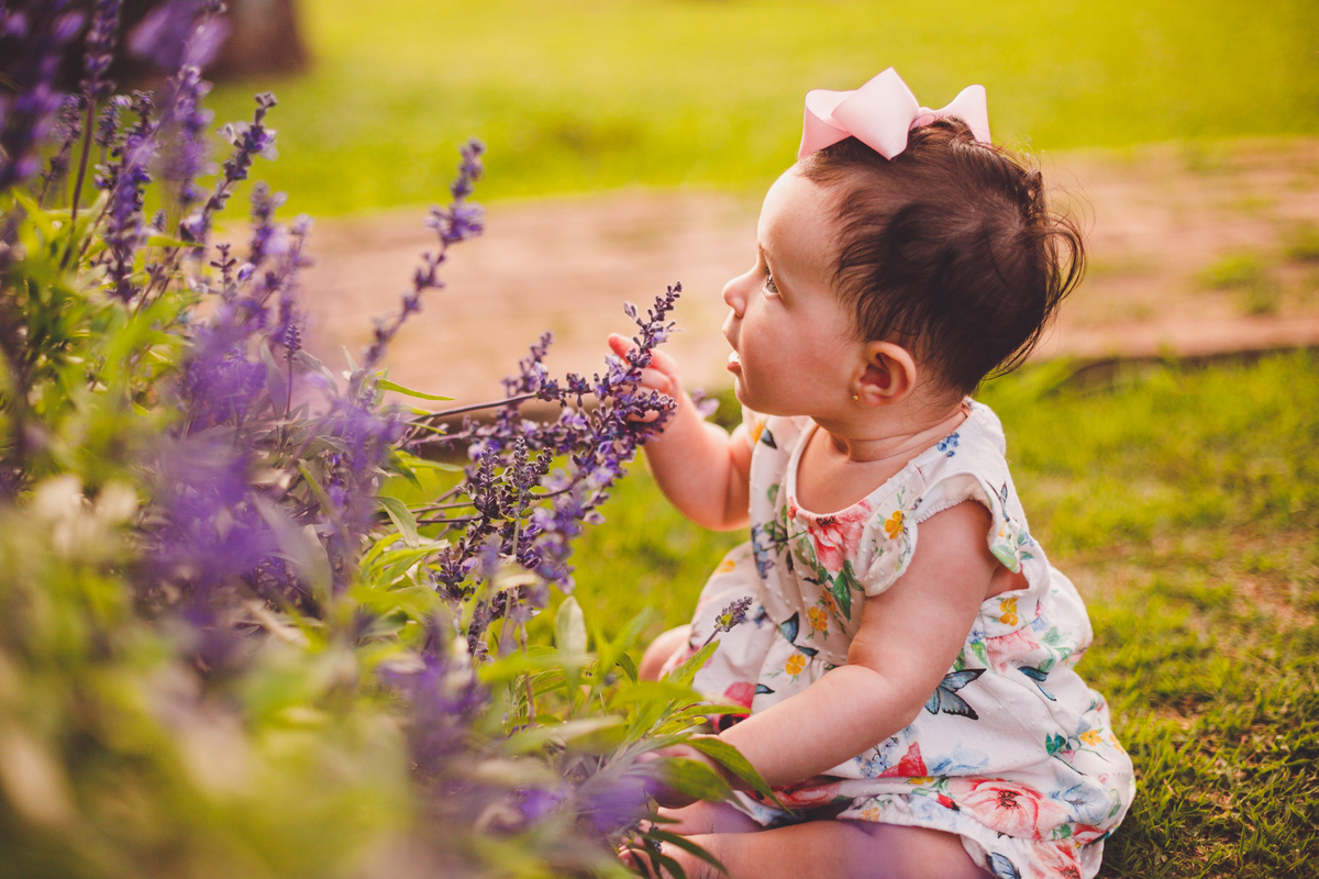 fotografa familia curitiba - Lavandario ensaio externo vale dos sonhos