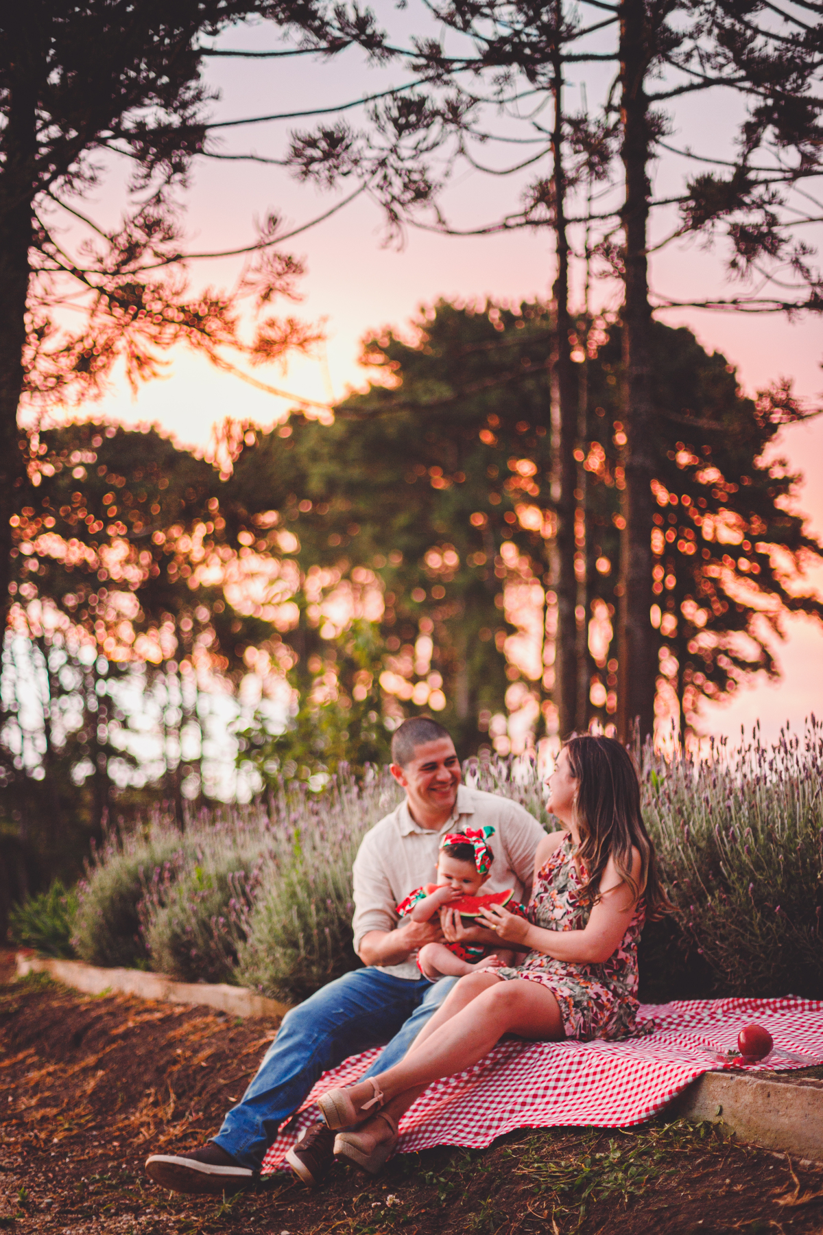 fotografa familia curitiba - Lavandario ensaio externo vale dos sonhos