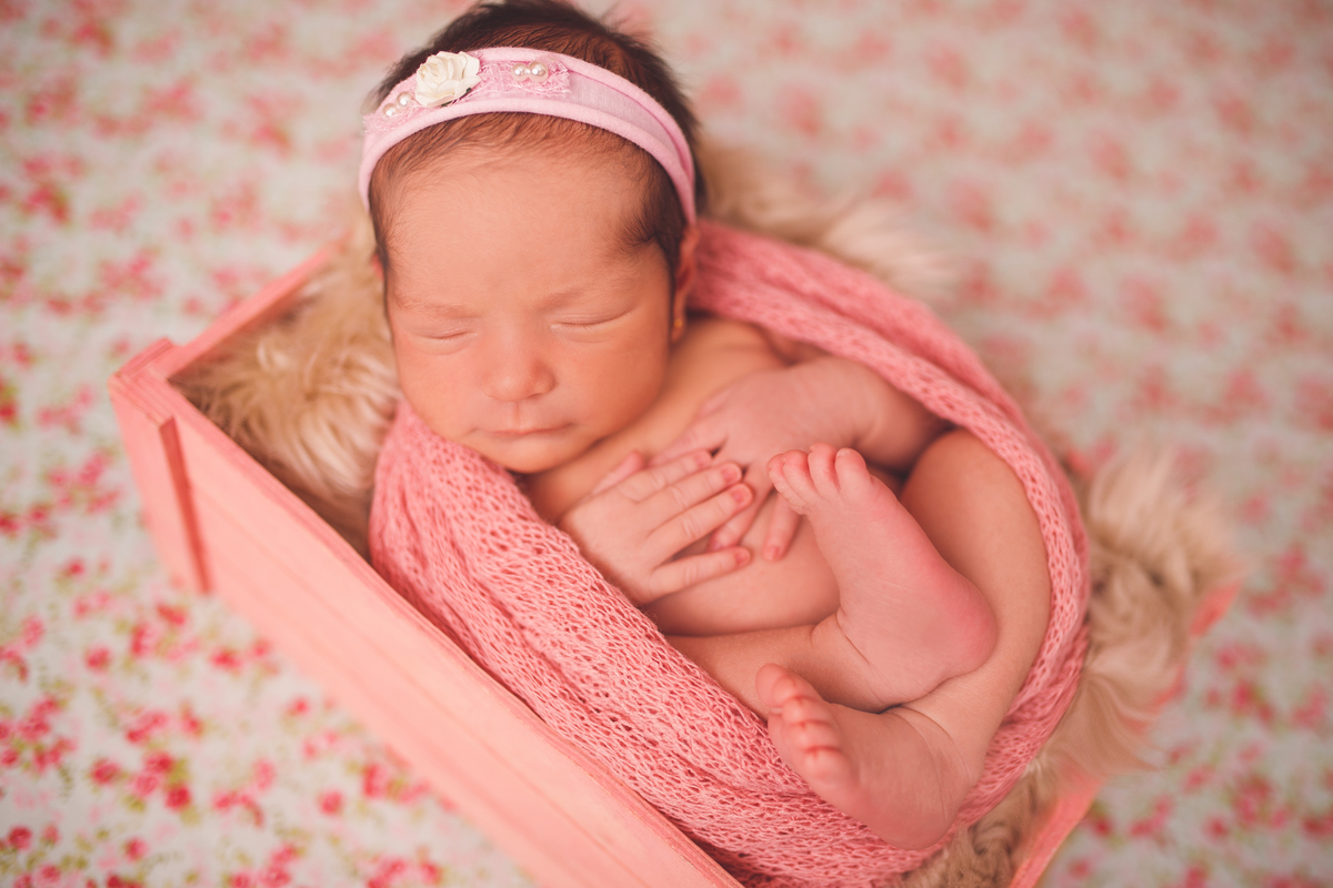fotografa familia. curitiba - newborn olivia