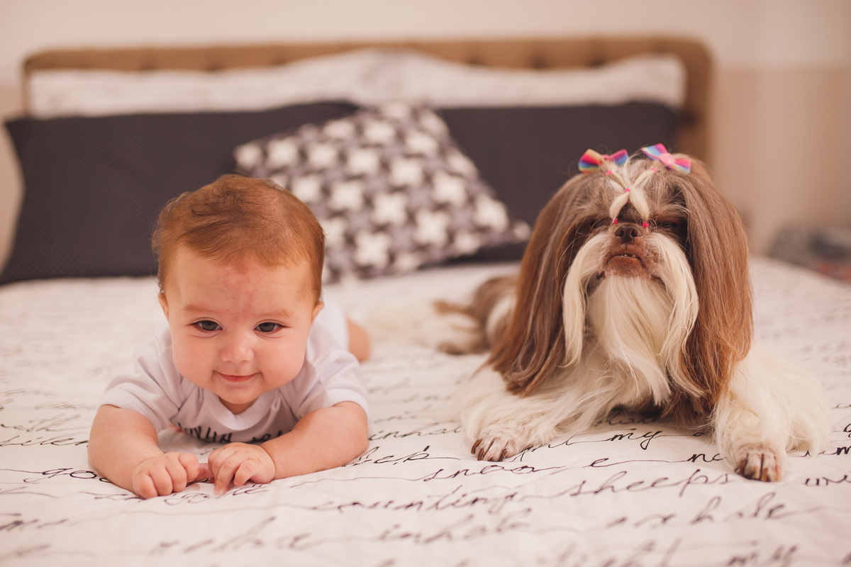fotografa familia curitiba - ally lifestyle em casa