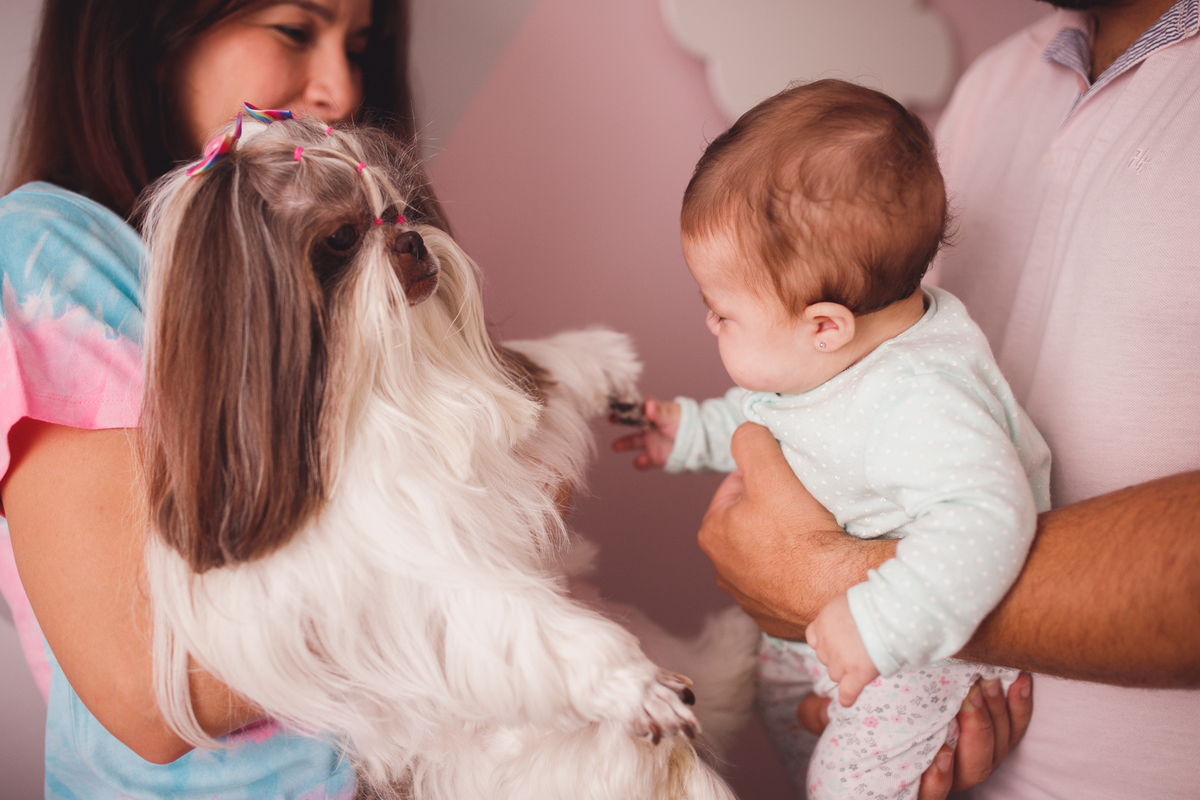 fotografa familia curitiba - ally lifestyle em casa