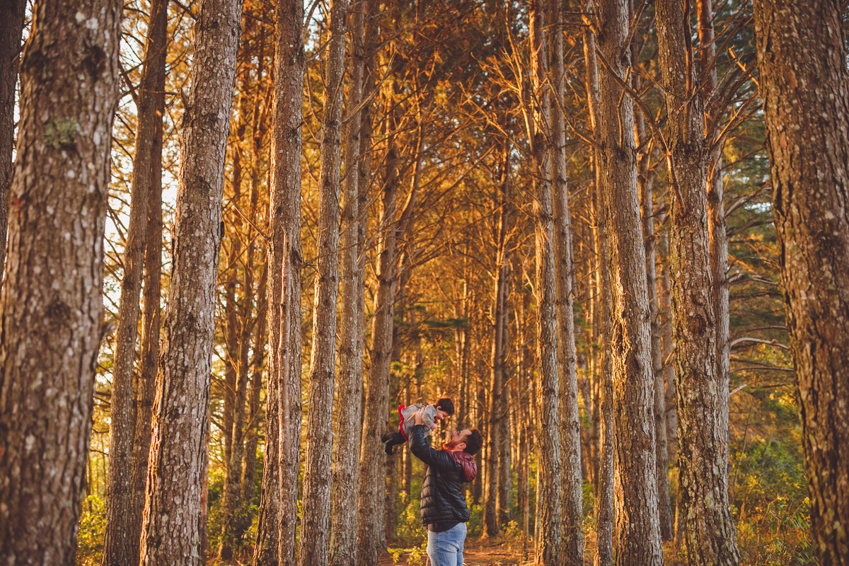 fotografa familia curitiba - ensaio. nascer do. sol aurora 6 meses acompanhamento bebe
