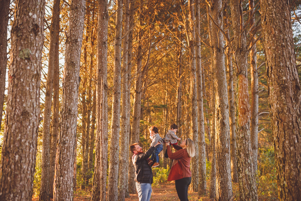 fotografa familia curitiba - ensaio. nascer do. sol aurora 6 meses acompanhamento bebe