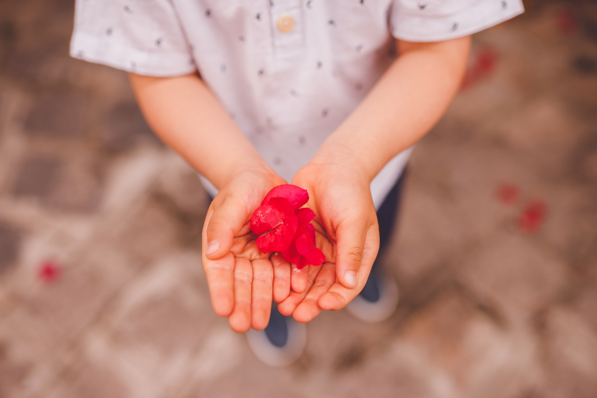 fotografa familia curitiba - Lucas em antonina