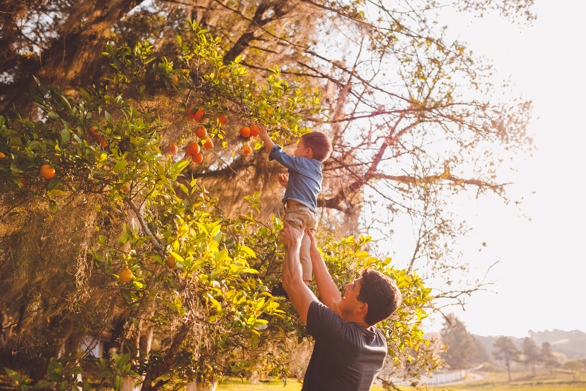 fotografa familia curitiba - ensaio externo fazenda maria flor 8 meses acompanhamento
