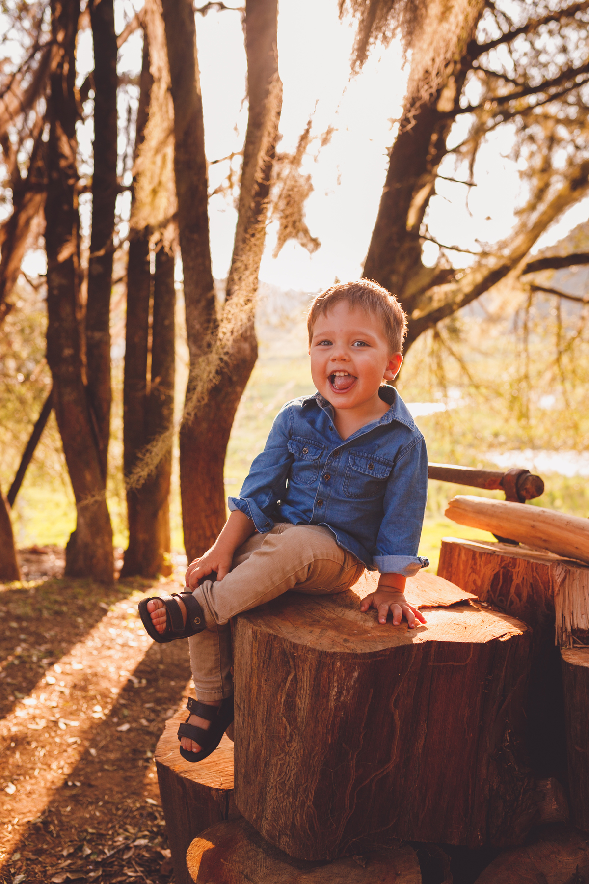 fotografa familia curitiba - ensaio externo fazenda maria flor 8 meses acompanhamento