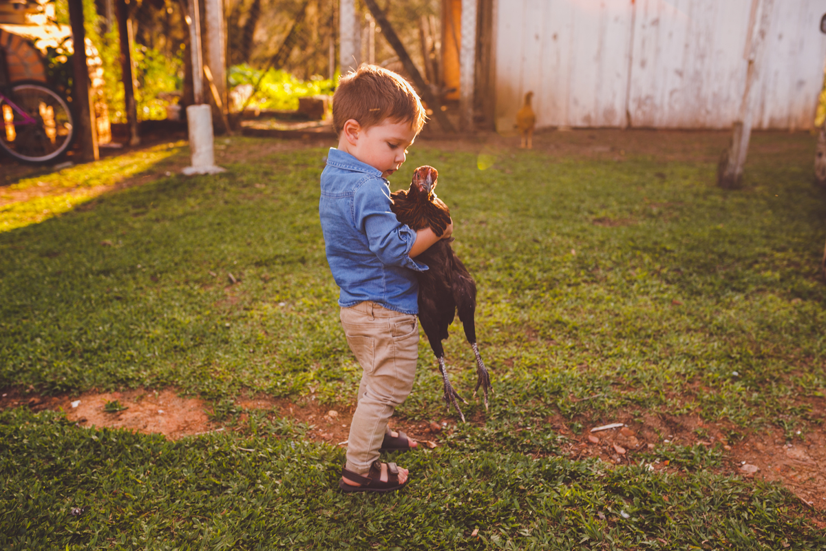 fotografa familia curitiba - ensaio externo fazenda maria flor 8 meses acompanhamento