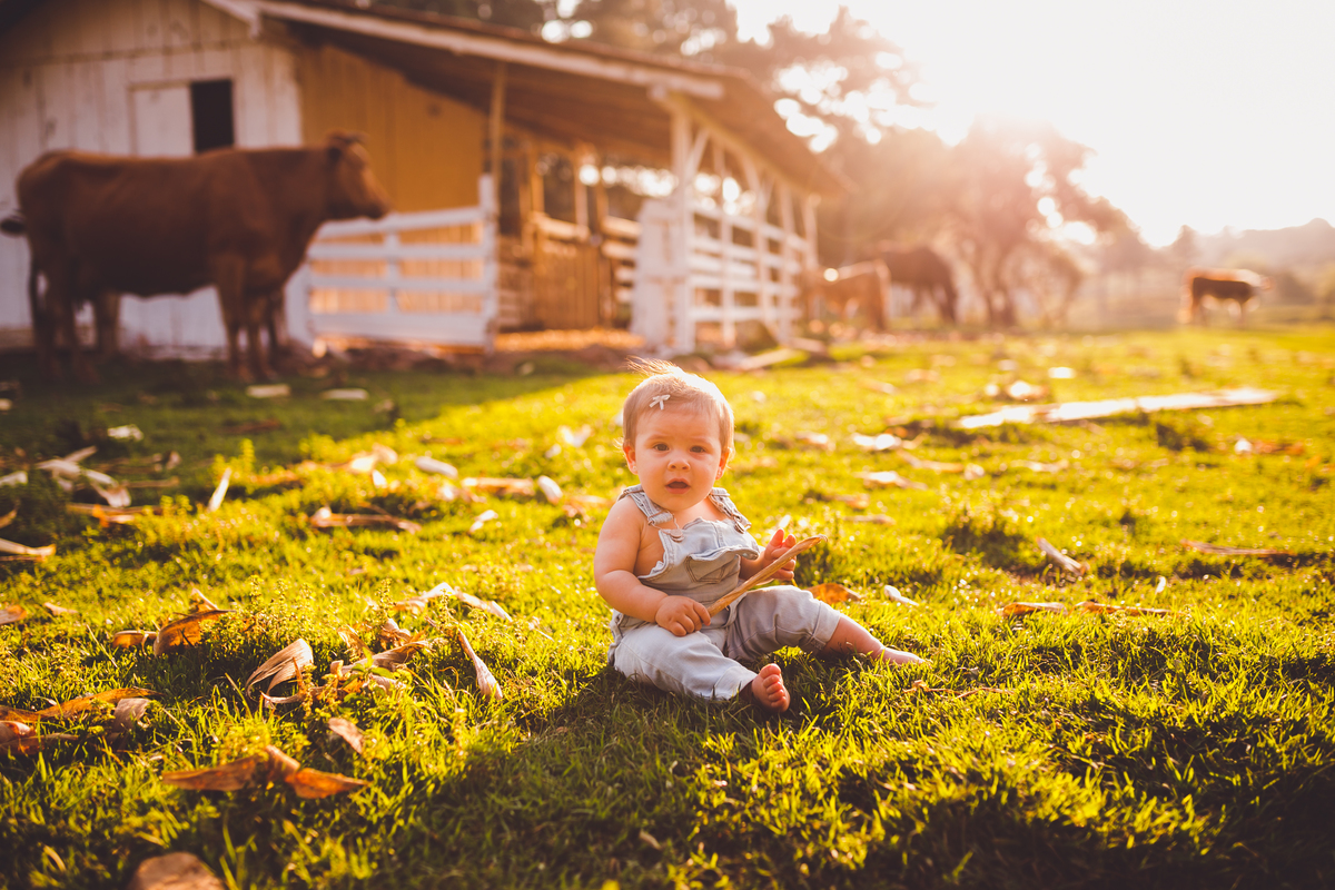 fotografa familia curitiba - ensaio externo fazenda maria flor 8 meses acompanhamento