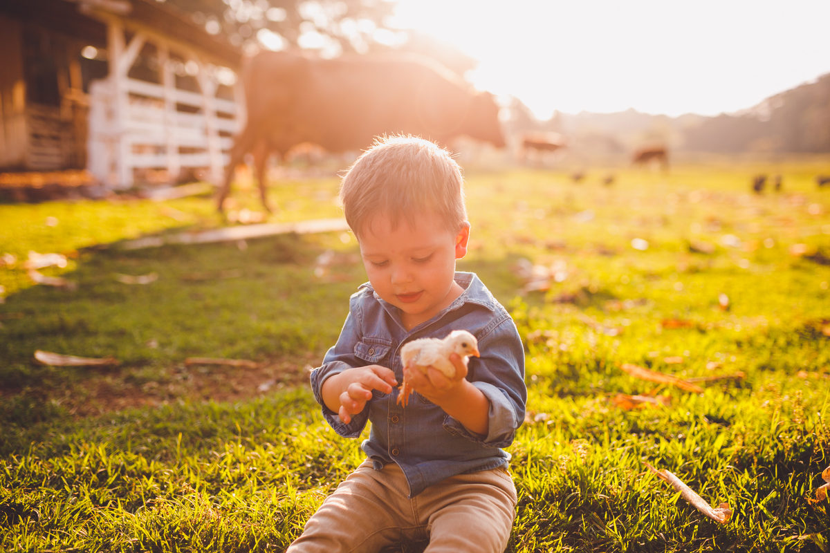 fotografa familia curitiba - ensaio externo fazenda maria flor 8 meses acompanhamento