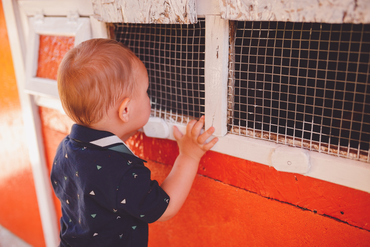 fotografa familia curitiba - vila dos animais, joão e duda
