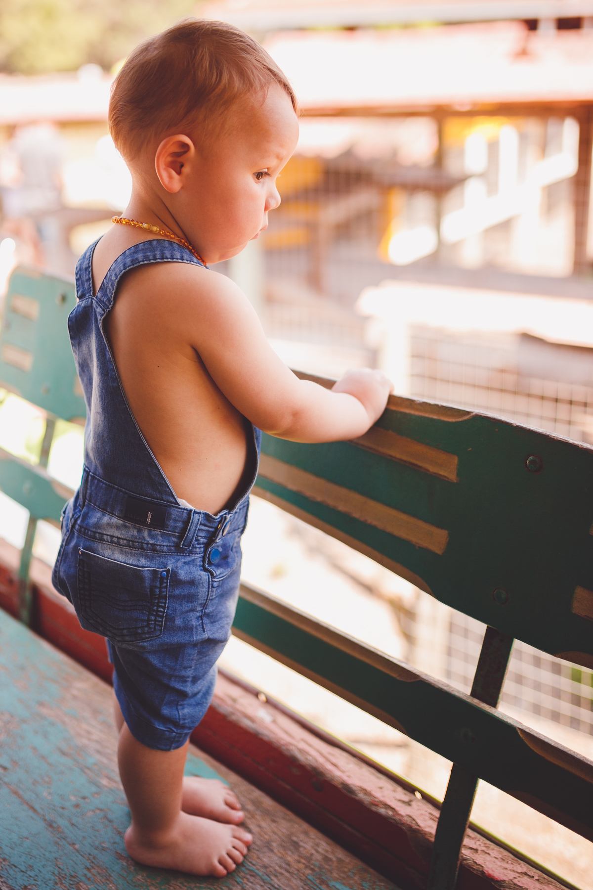 fotografa familia curitiba - vila dos animais, joão e duda