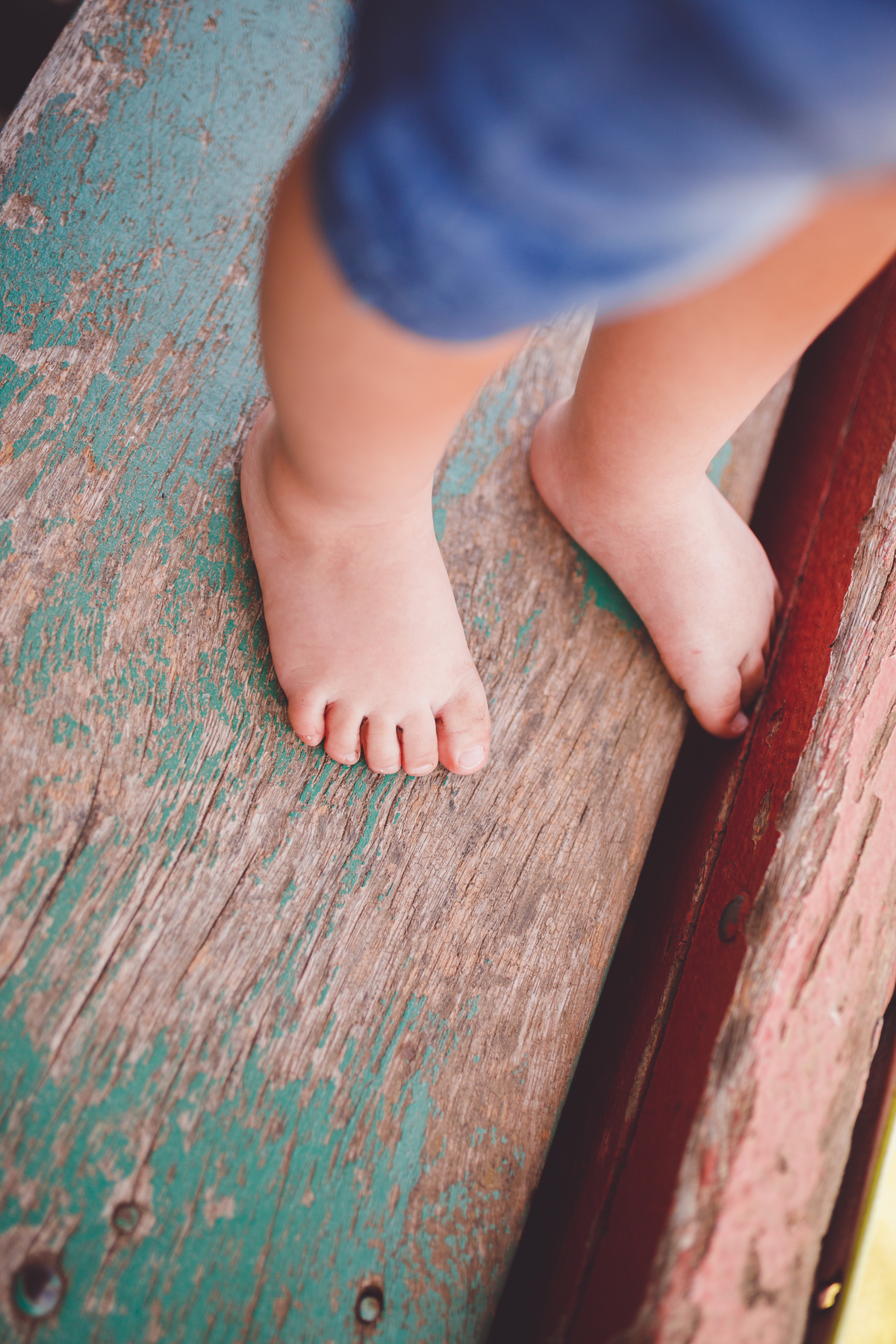 fotografa familia curitiba - vila dos animais, joão e duda