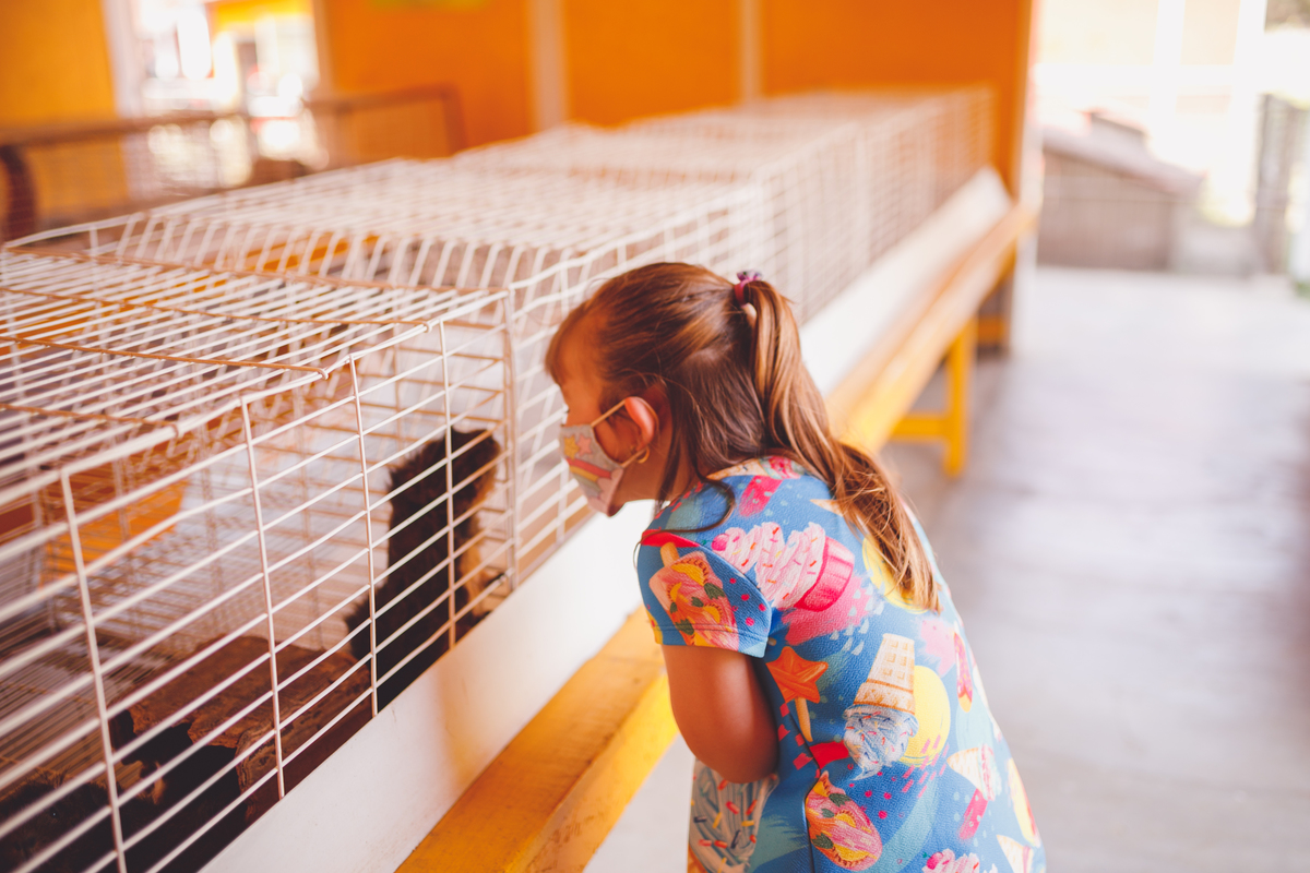fotografa familia curitiba - vila dos animais, joão e duda