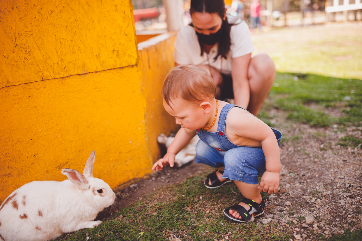 fotografa familia curitiba - vila dos animais, joão e dudafotografa familia curitiba - vila dos animais, joão e duda