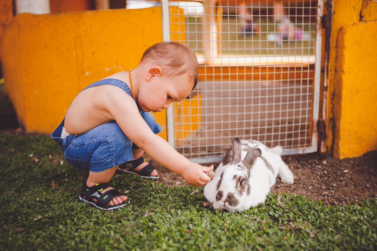 fotografa familia curitiba - vila dos animais, joão e duda