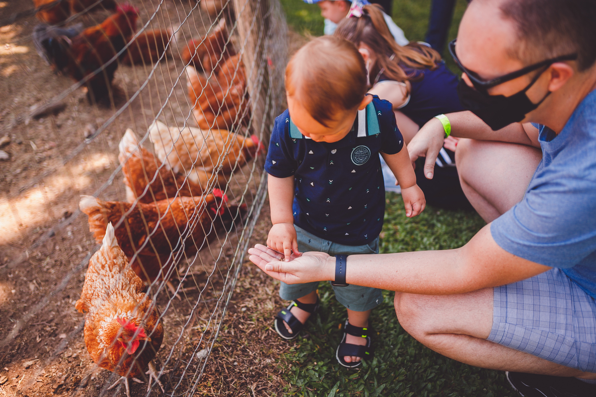 fotografa familia curitiba - vila dos animais, joão e duda