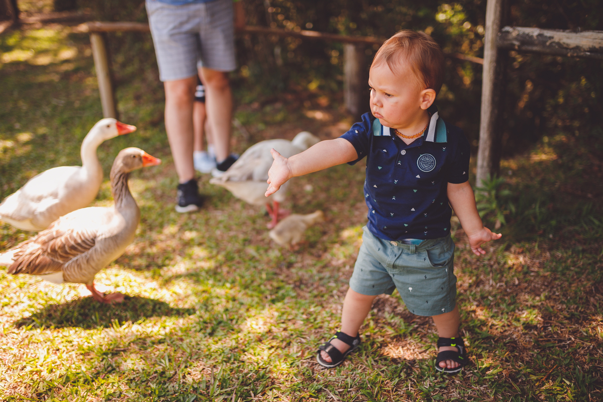 fotografa familia curitiba - vila dos animais, joão e duda