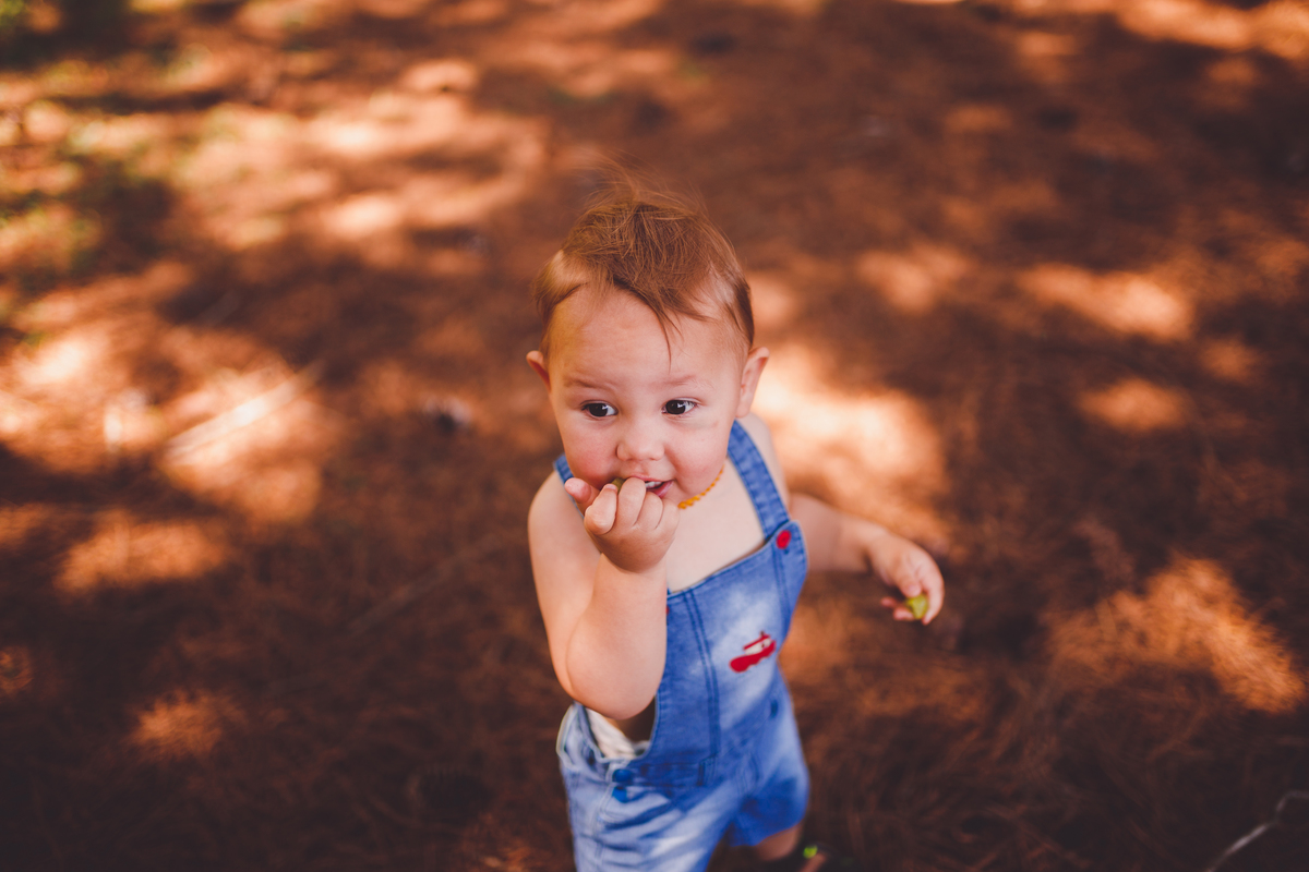 fotografa familia curitiba - vila dos animais, joão e duda