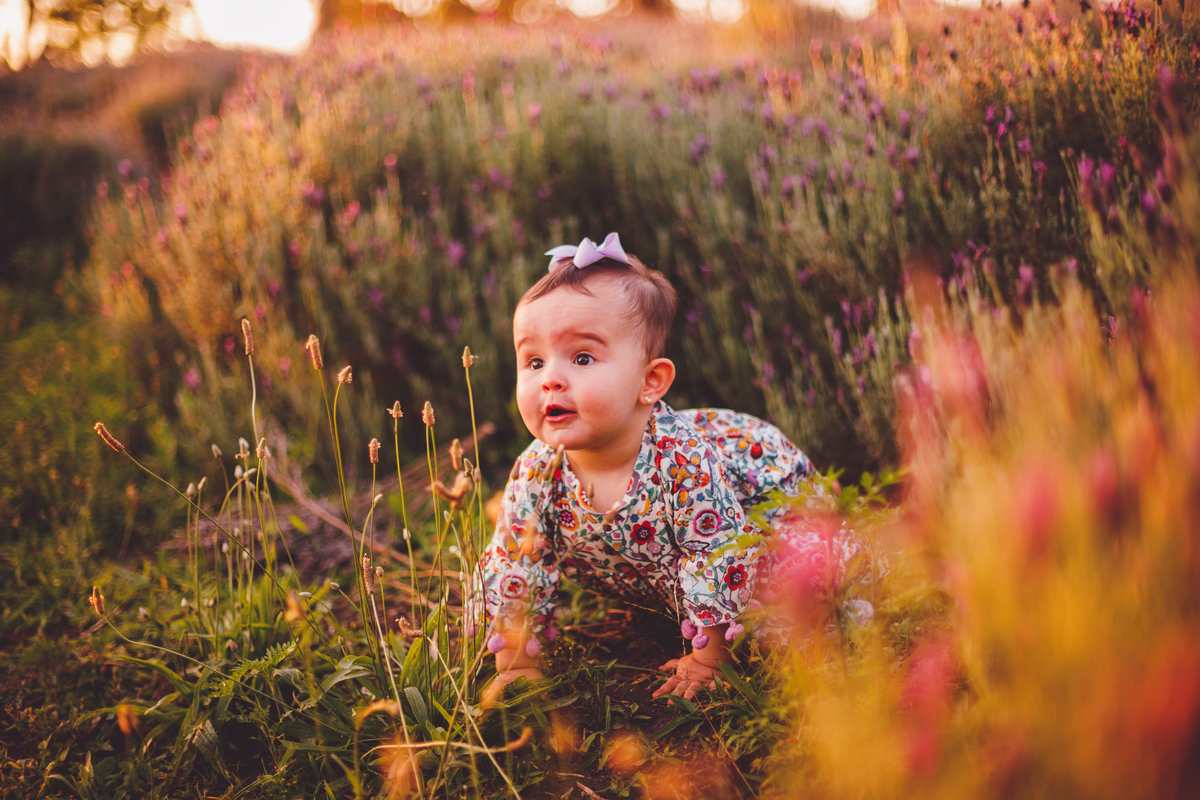 fotografa familia curitiba - Olivia Lavandario colonia witmarsun