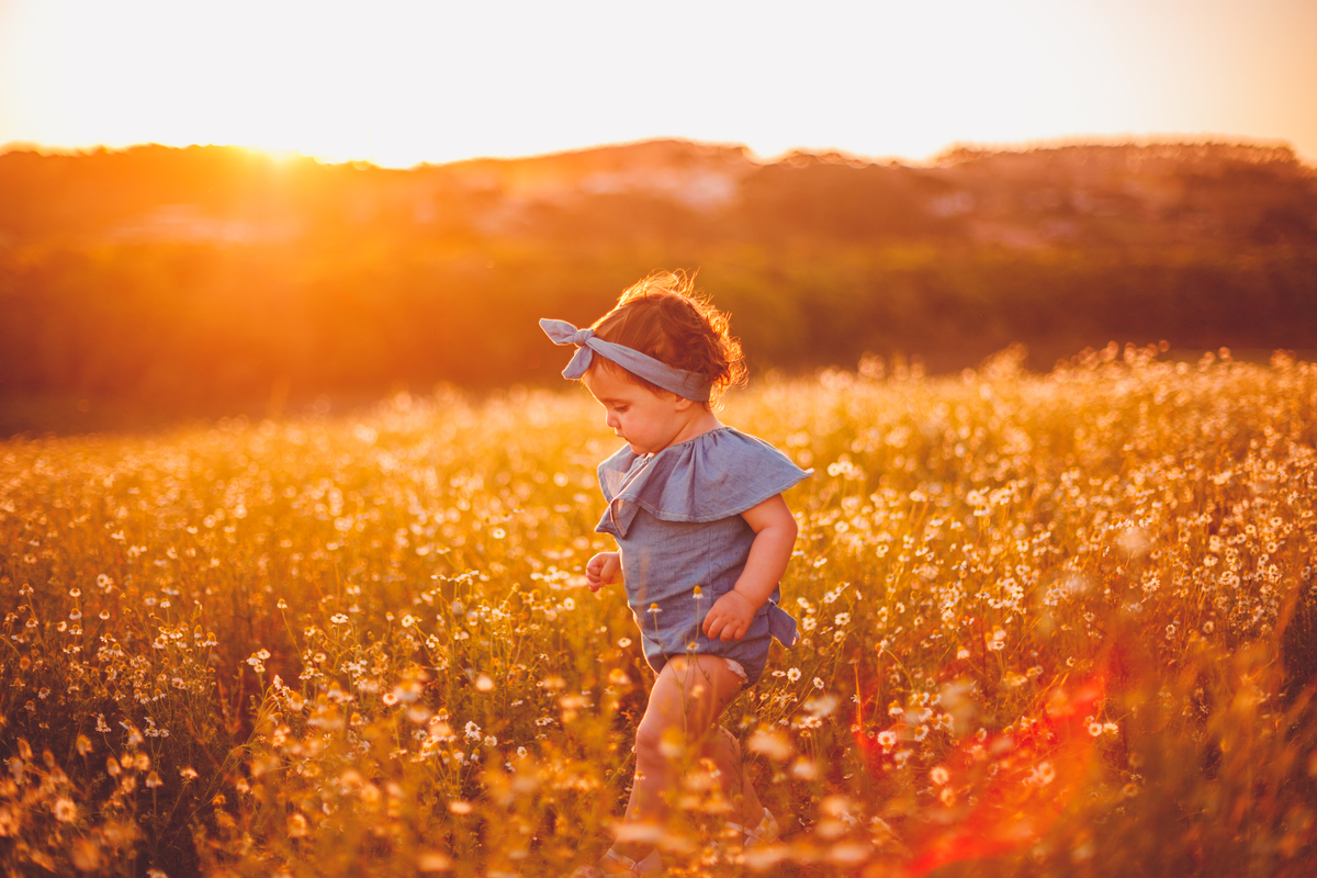 fotografa familia curitiba - ensaio. camomila 