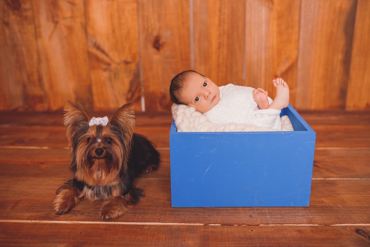fotografa familia curitiba - newborn bebe recém nascido 13dias estudio
