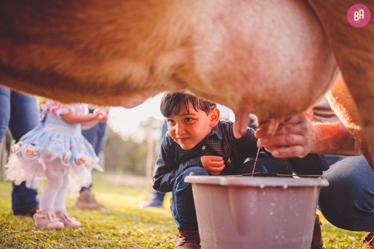 fotografa familia curitiba - ensaio com animais colônia witmarsun e lavadario 
externo por do sol