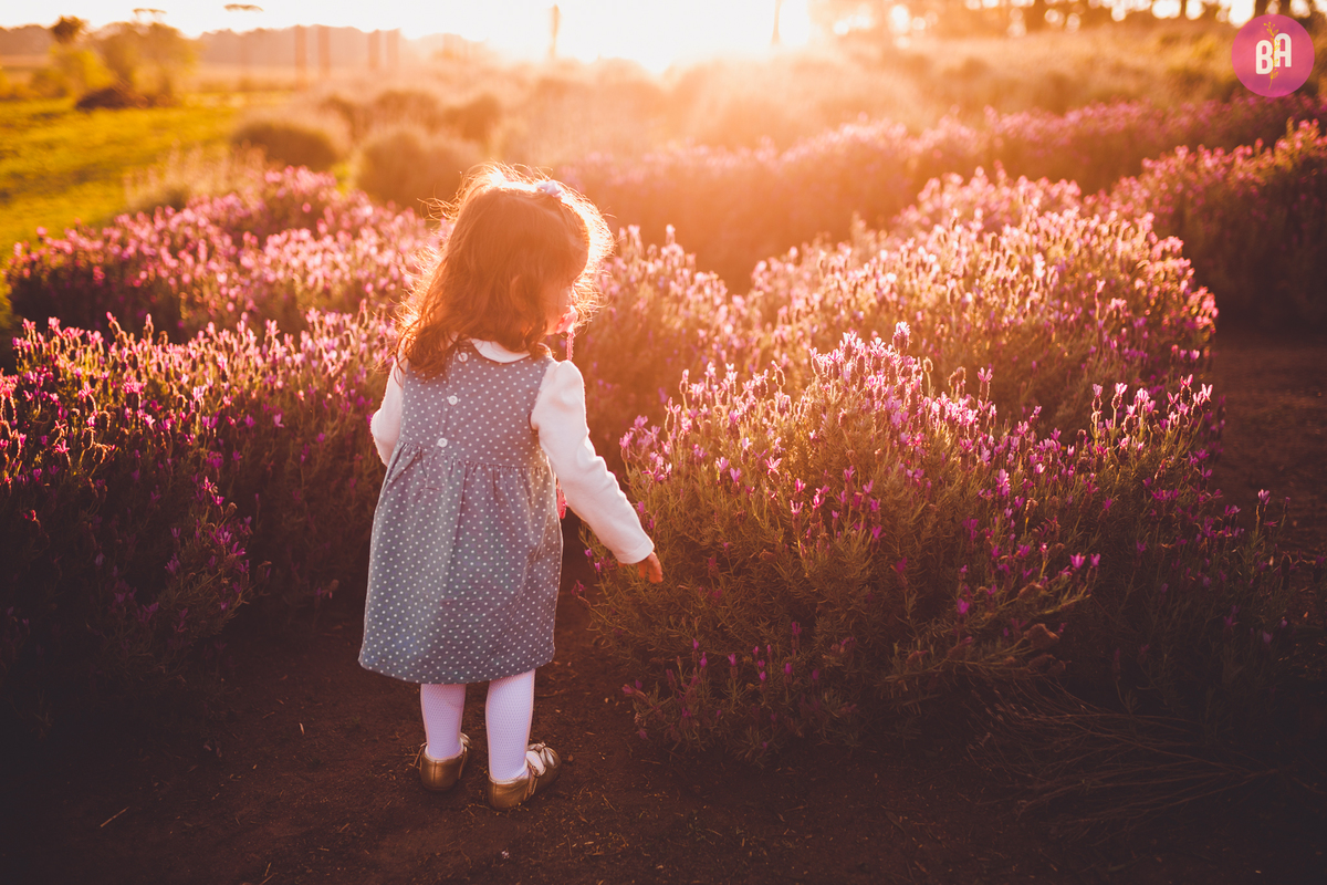 fotografa familia curitiba - ensaio com animais colônia witmarsun e lavadario 
externo por do sol