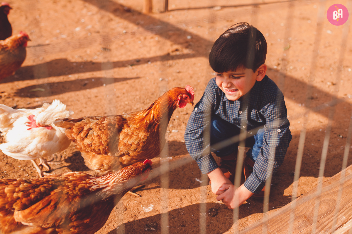 fotografa familia curitiba - ensaio com animais colônia witmarsun e lavadario 
externo por do sol