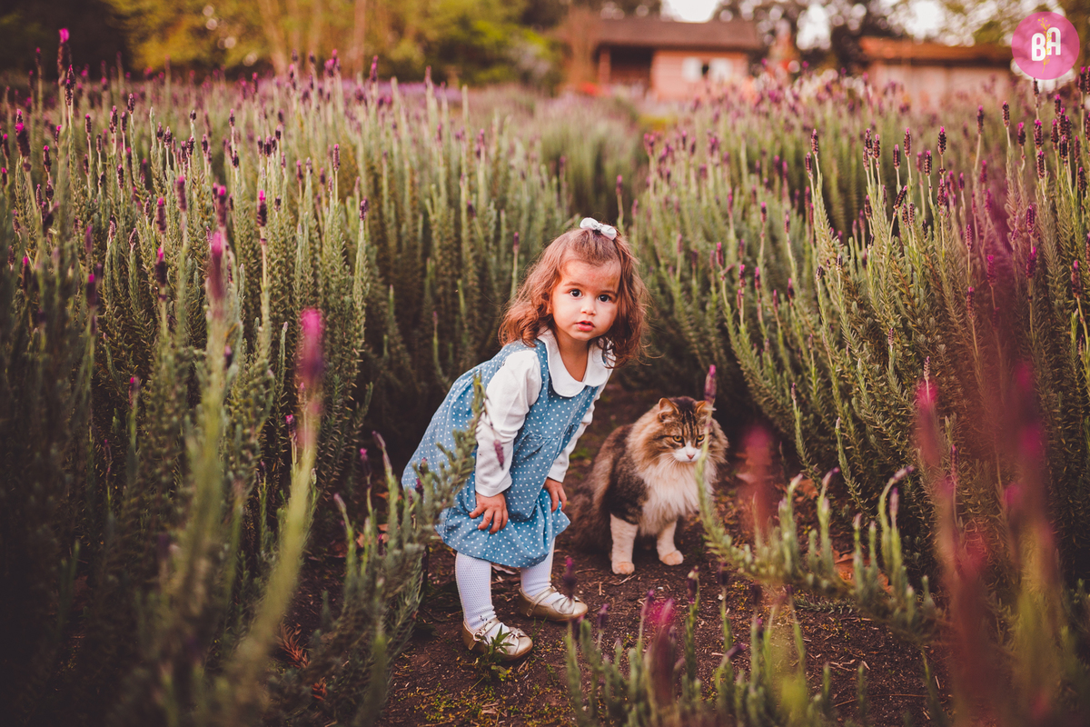 fotografa familia curitiba - ensaio com animais colônia witmarsun e lavadario 
externo por do sol