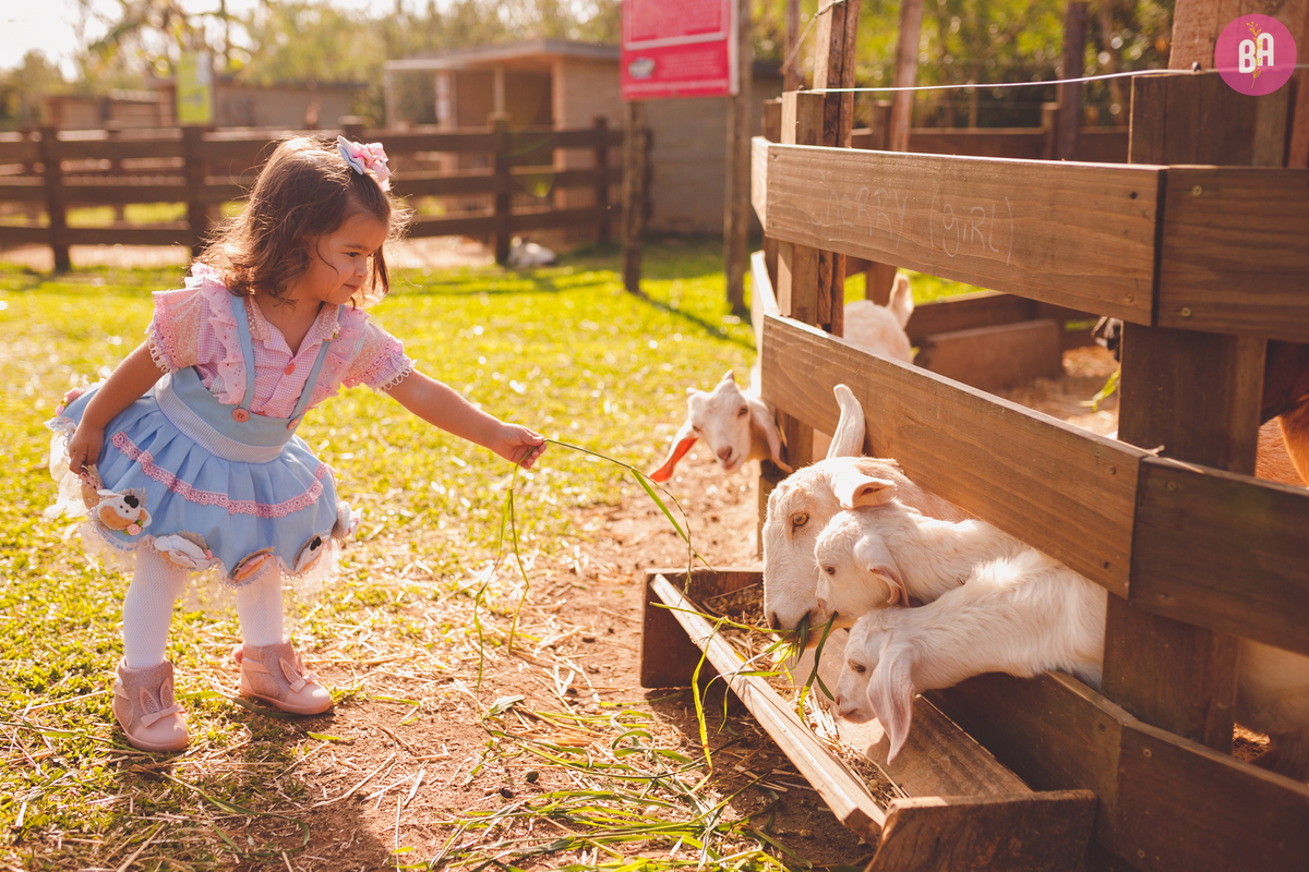 fotografa familia curitiba - ensaio com animais colônia witmarsun e lavadario 
externo por do sol