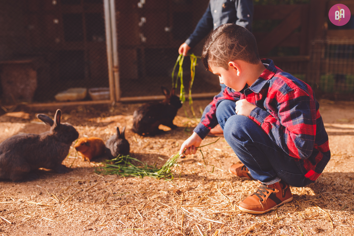 fotografa familia curitiba - ensaio com animais colônia witmarsun e lavadario 
externo por do sol