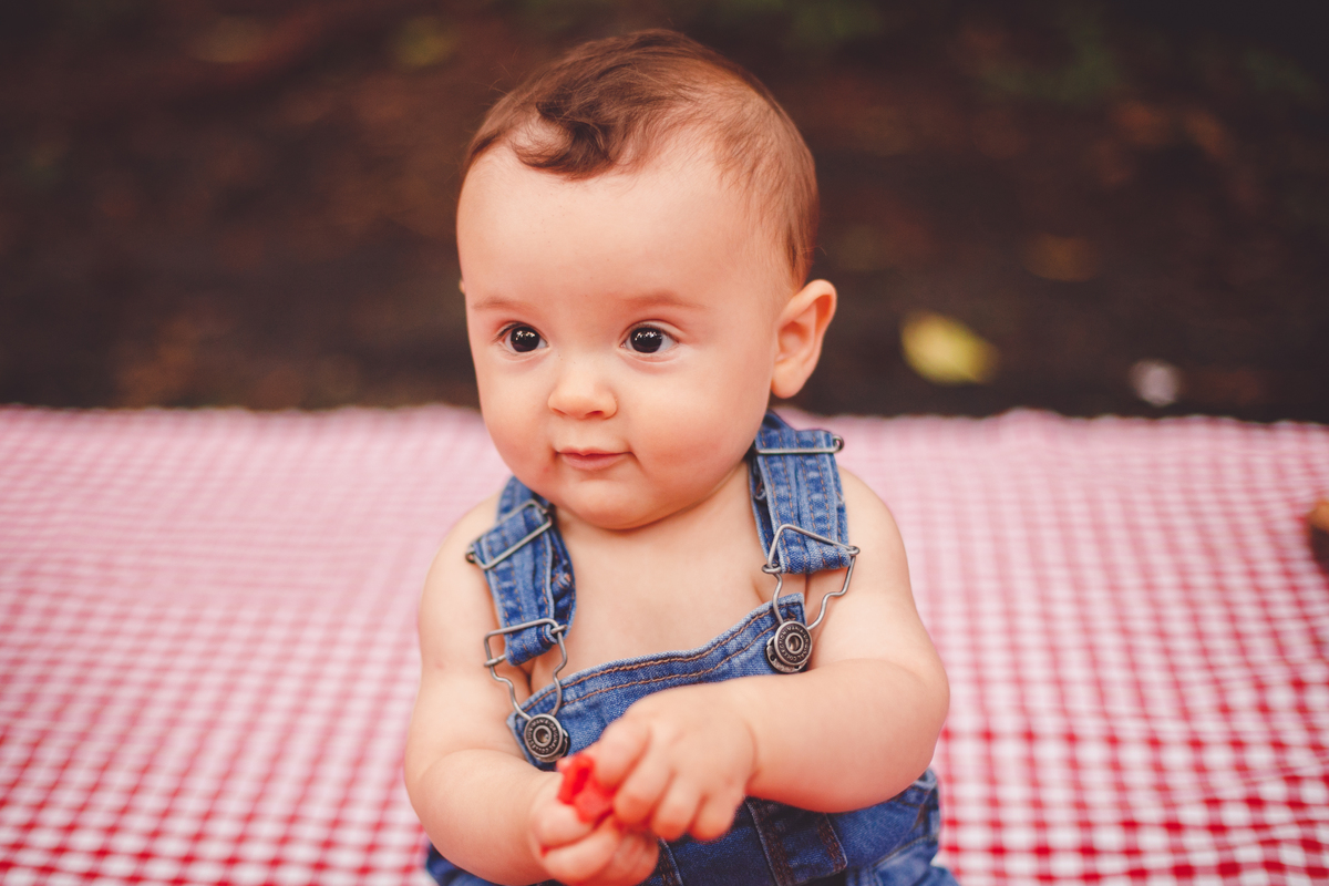 fotografa familia curitiba - Samuel piquenique barigui frutas 6 meses