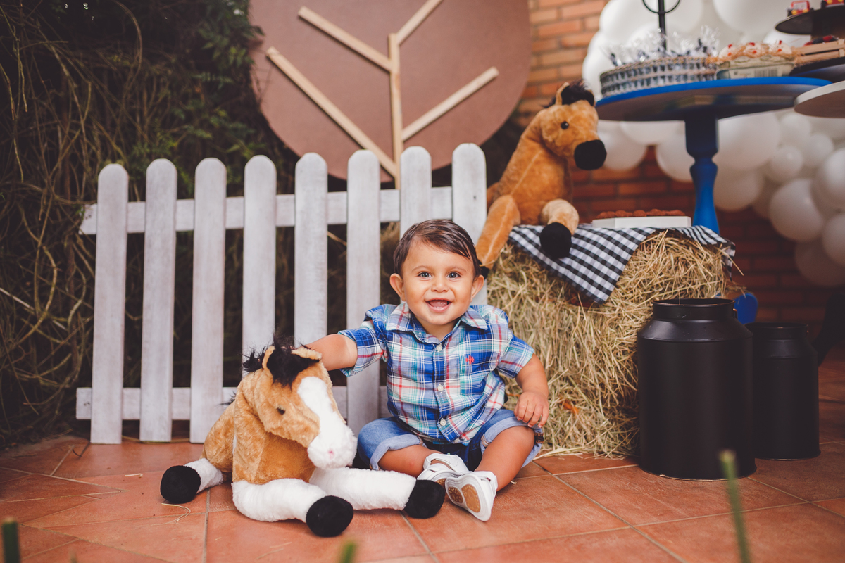 fotografa familia curitiba - aniversario 1 ano francesco