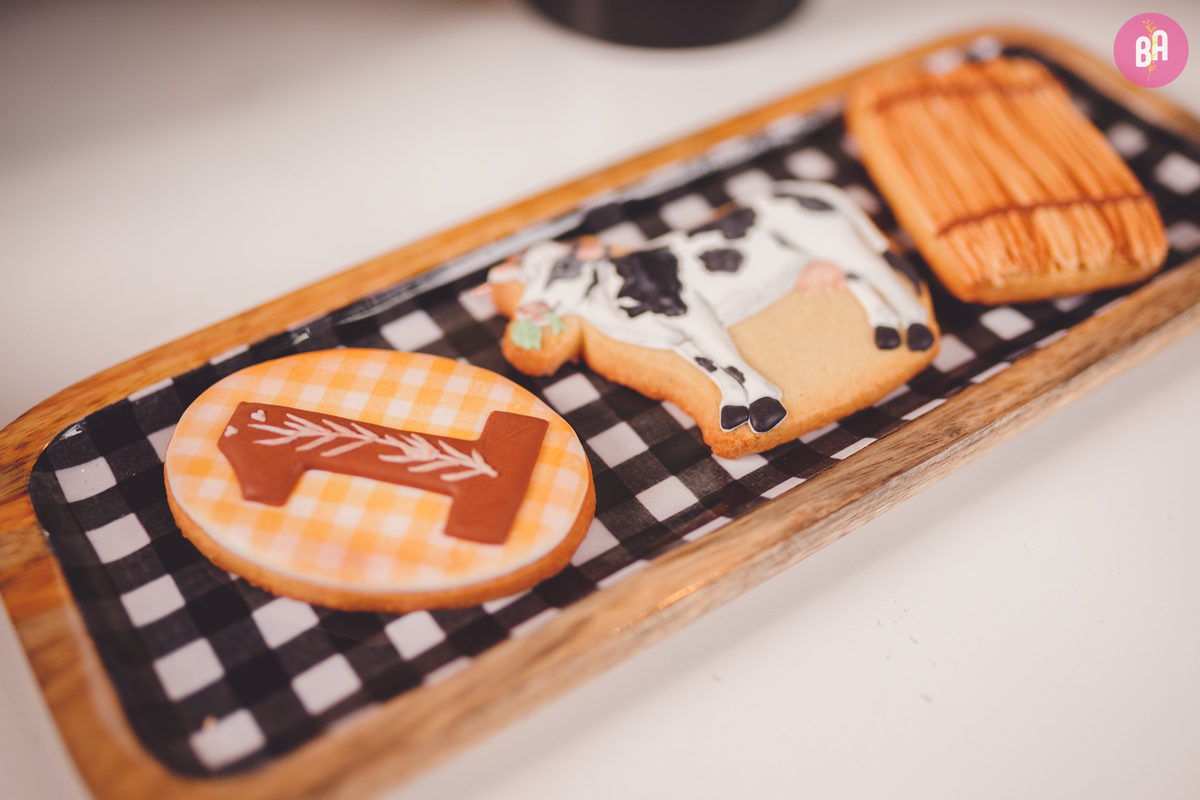 fotografa familia curitiba - aniversario 1 ano francesco